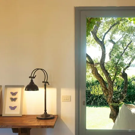Beachfront In Maremma Tuscany Tatil Evi